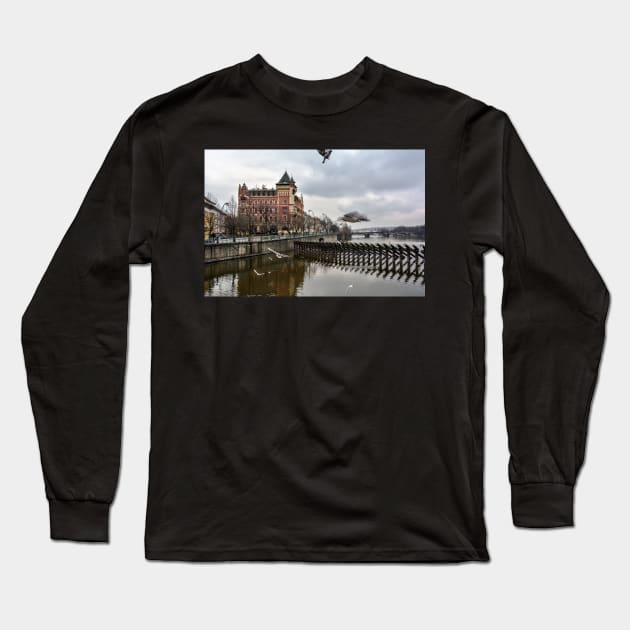 Seagulls and Bellevue building Long Sleeve T-Shirt by lena-maximova